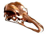 Cranium Charm Ostrich Bronze | 3D
