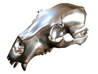 Cranium Charm Bear silver | 3D