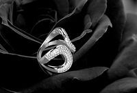 luxury diamond ring 3056 | 3D