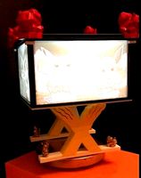 LITHOPHANIE POKEMON | 3D