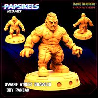 DWARF STREET BRAWLER BOY PANDAK | 3D