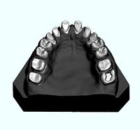 Dental sample model for maxillary  | 3D