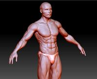 muscle man 3D model map download model 3D printing | 3D