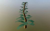 Simple Tree Low-poly 3D model
