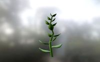 FREE Simple Plant Low-poly 3D model
