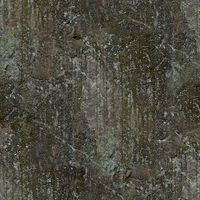 Rocks