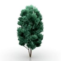 Tree 3D Model