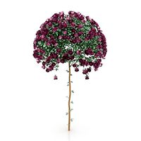 Rose 3D Model