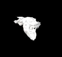 DRAGON HEAD
