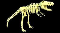 Lowpoly Trex