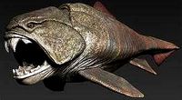 dunkleosteus