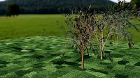 three tree models