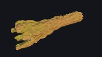 Stylized trunk