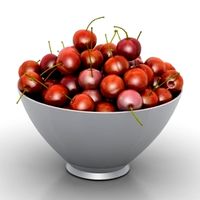 Vase 3D Model