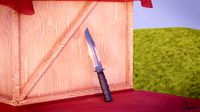Combat Knife