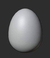 Chicken Bird Egg