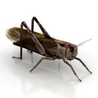 Grasshopper 3D Model