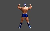 Masked Fighter - Lucha Libre | 3D