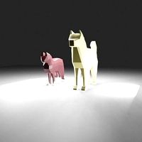 Cat and Dog