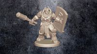 Veresoll - Lashunta Vanguard | 3D
