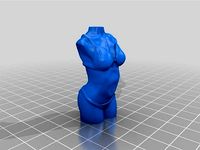 Female Body | 3D