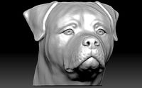 Rottweiler head for 3D printing | 3D