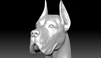 Great Dane head for 3D printing | 3D