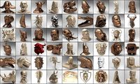 Collection 53 Head  | 3D