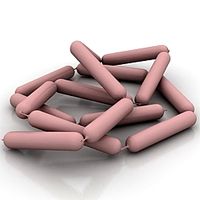 Sausage 3D Model