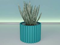 succulent plant pot 36 | 3D