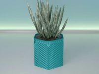 succulent plant pot 34 | 3D