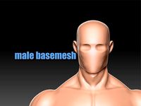 Basemesh male