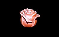 Rose model | 3D