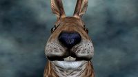 RABT-017 Rigged Rabit