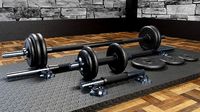 Dumbbells 35cm and 120cm Lowpoly