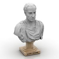 Bust 3D Model