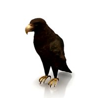 Eagle 3D Model