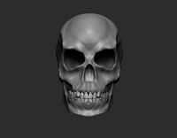 Scull with separate jaw