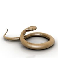 Snake 3D Model