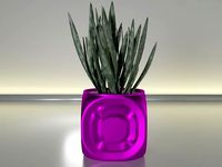 succulent plant pot 20 | 3D