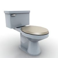 Pan 3D Model