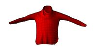 Female Red Sweater