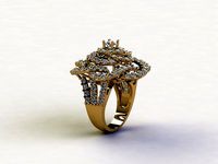 R164 woman ring rail 11 japan