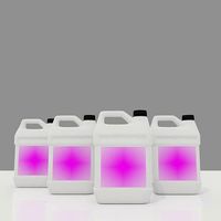 Gallon 3L