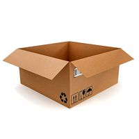Cardboard box 20