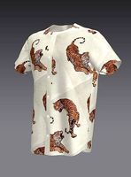MAn Clothing 541