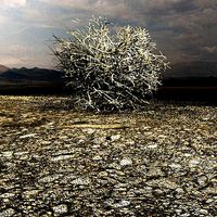 Western  -  Russian Tumble Weed