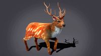 Fur Rigged Deer Stag