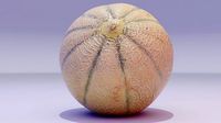 Melon