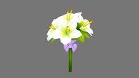 Cartoon lily bouquet - Carnation - Holding flowers